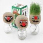Free shipping - MR GRASSHEAD - Grass Head Doll Plant,Creative ornaments(no glass bottle)