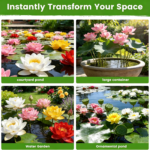 Free shipping Mixed Bowl Lotus Seeds - Water Lily Flower Plant Seeds - Home Garden Plant Seeds Aquatic Fresh Garden Seeds for Home - Image 5