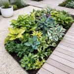Perennial Mix Color Hosta Seeds for Planting in Home Garden - Shade Tolerant Plant Seeds,Ideal for Borders & Containers - Image 2